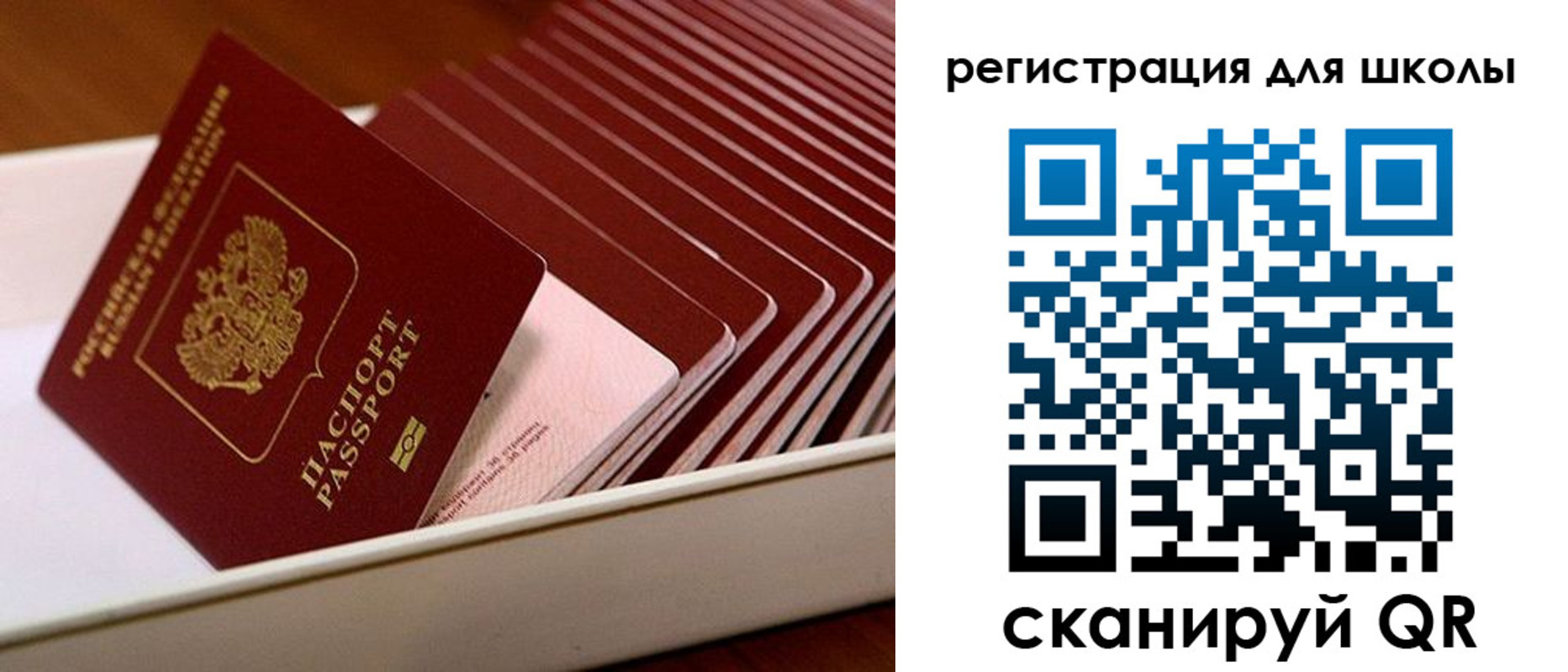 прописка гарантия в Приозерске